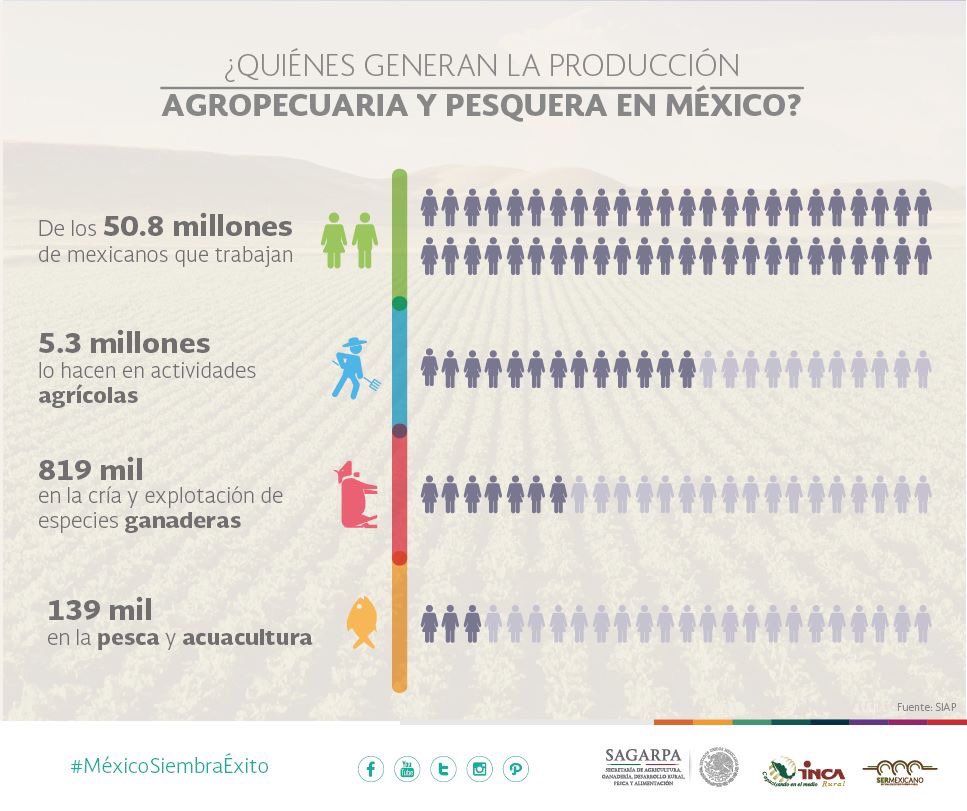 ExtensionismoM's tweet photo. ¿Quienes Generan la Producción Agropecuaria y Pesquera en México? @ppcalzada https://t.co/nYSxJN8h86