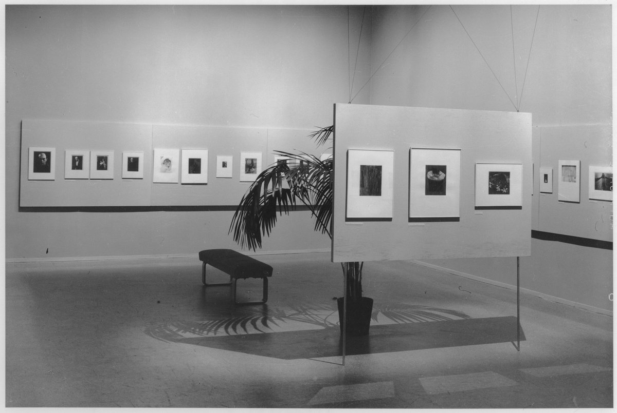 MuseumModernArt's tweet photo. MoMA's first #photography exhibition, organized w/ Ansel Adams, opened in 1940. Learn more at https://t.co/0H96hv9vL5 #52exhibitions #tbt https://t.co/mUaXErxsJn