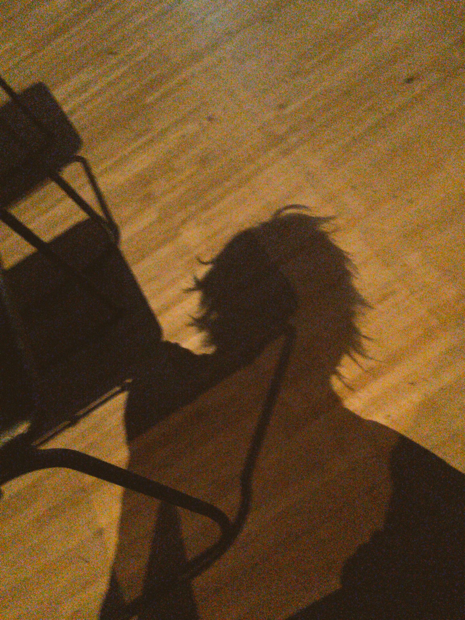 ট ইট র 96猫 髪型獅子王くんっぽいのこんな感じっ 羽織ってるのは服が汚れないようにってゆうこさんがいつも掛けてくれる布