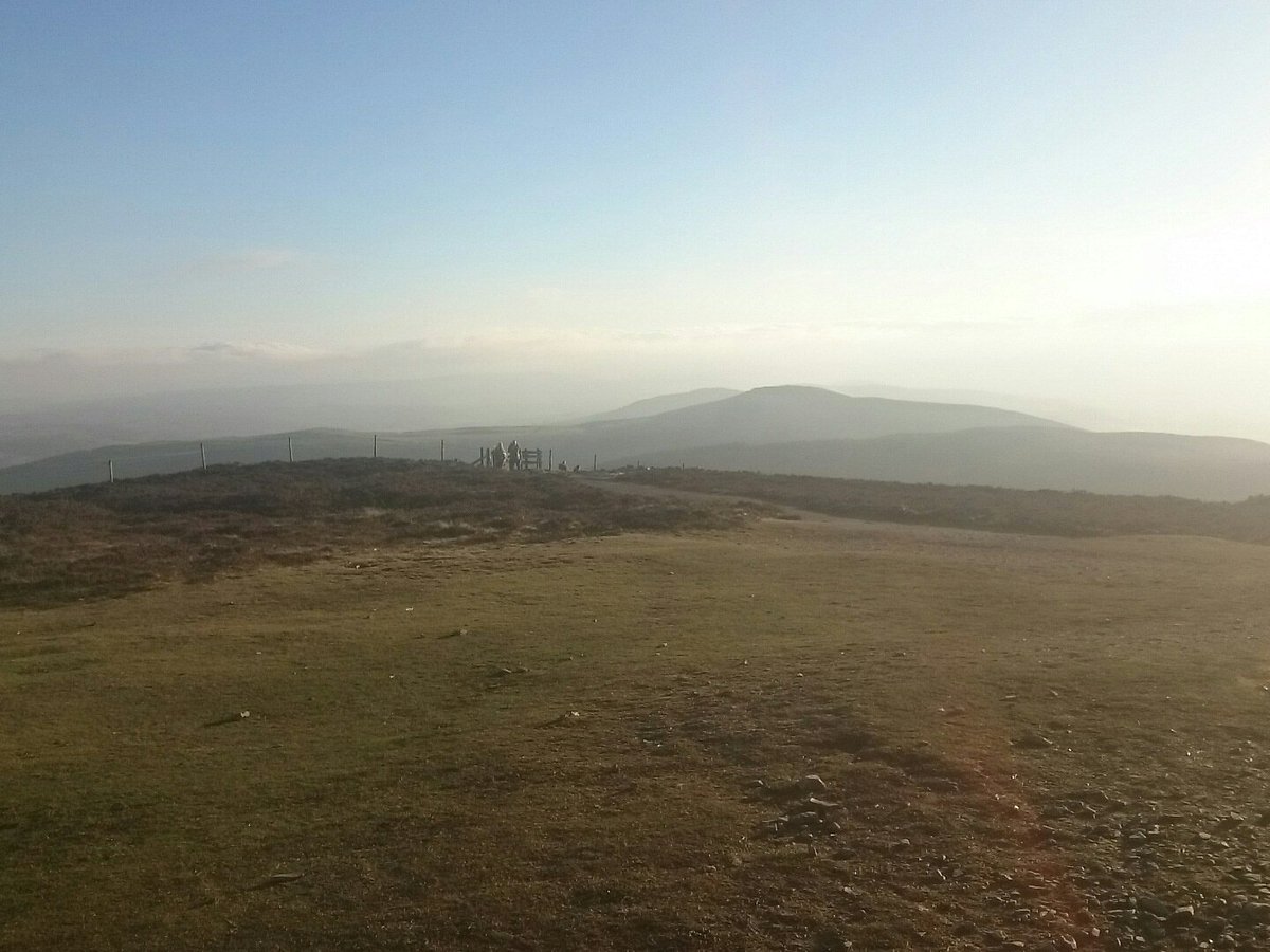 Moel Famau Run Club tweet media
