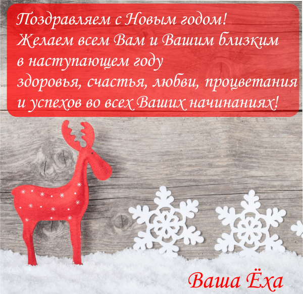 ExaPizza tweet picture