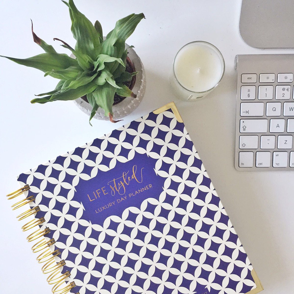 styledplanner's tweet photo. Are you back at your desk today? Is it a bit prettier with one of our #2017 planners? Still time to get one if Santa forgot! #planneraddict https://t.co/hTZnzogKAO