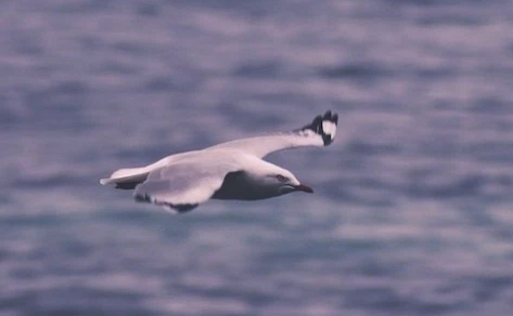 InviteToPray's tweet image. #NewYear's resolutions can undermine your #goals. Try choosing a 2017 theme instead. buff.ly/2hz5yTF via @CGFKindness