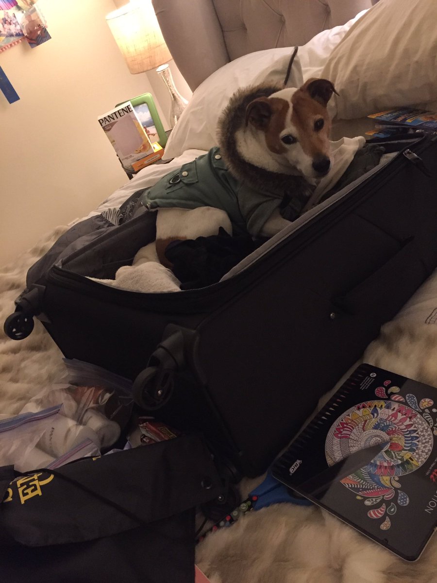 michellenwon's tweet image. My lil nugget doesn't want me to leave for Ecuador