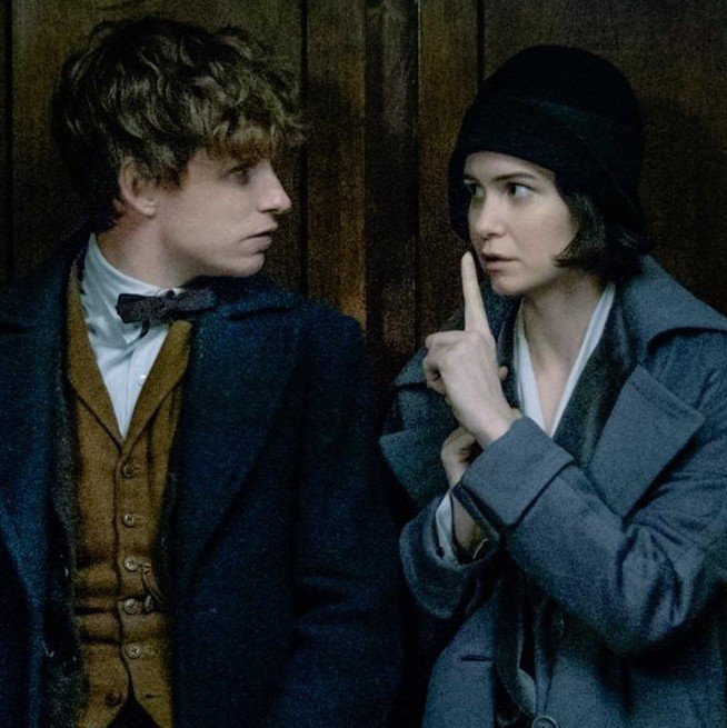 BestCouples_1's tweet photo. Newt Scamander and Tina Goldstein | Fantastic Beasts and Where to Find Them https://t.co/b8WO9BU84f