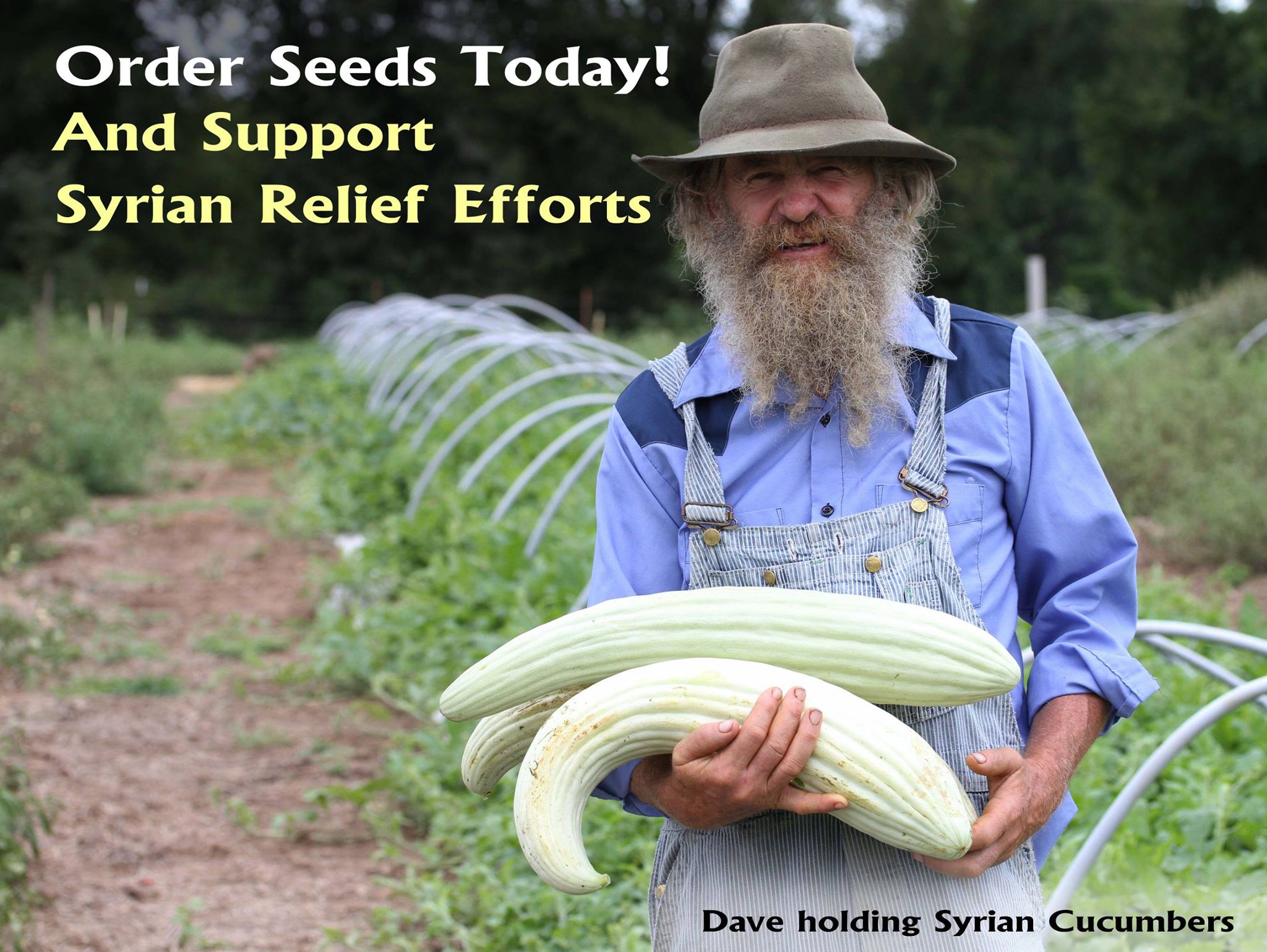 Baker Creek Seeds on Twitter "Profits from seed orders noon todaynoon