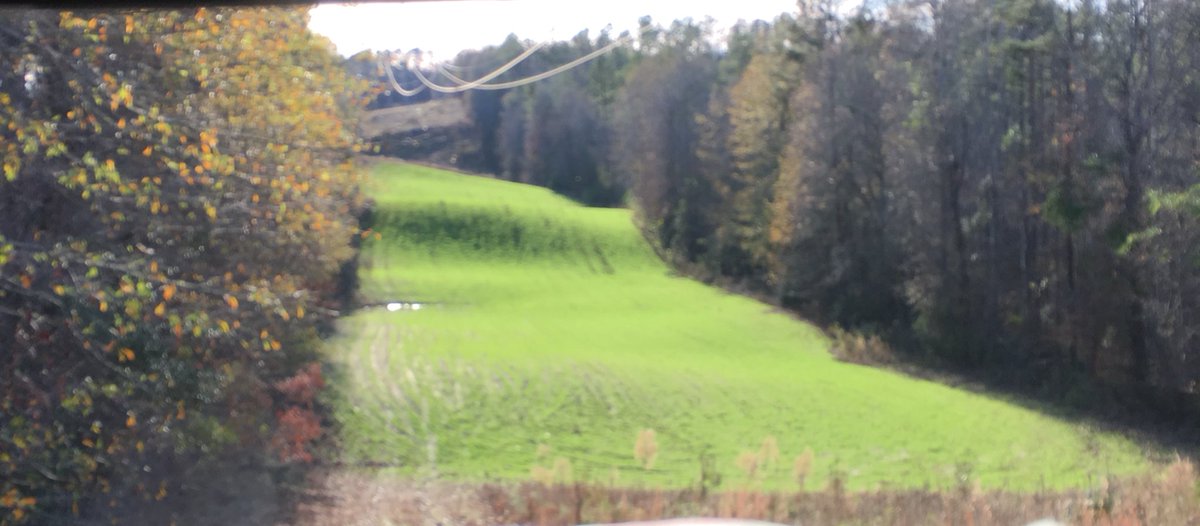 Brian Mo Mosley tweet media