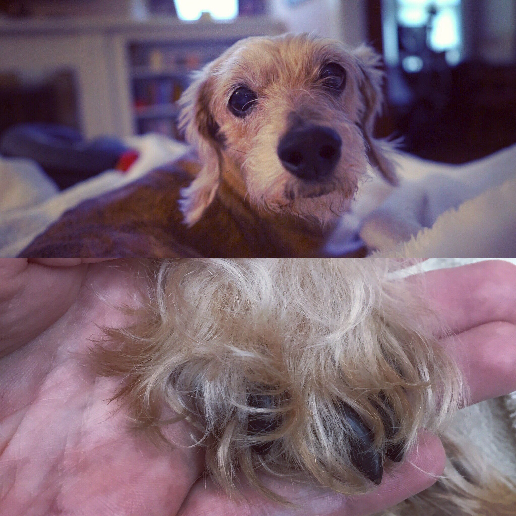 Jenn Tracker on Twitter: 