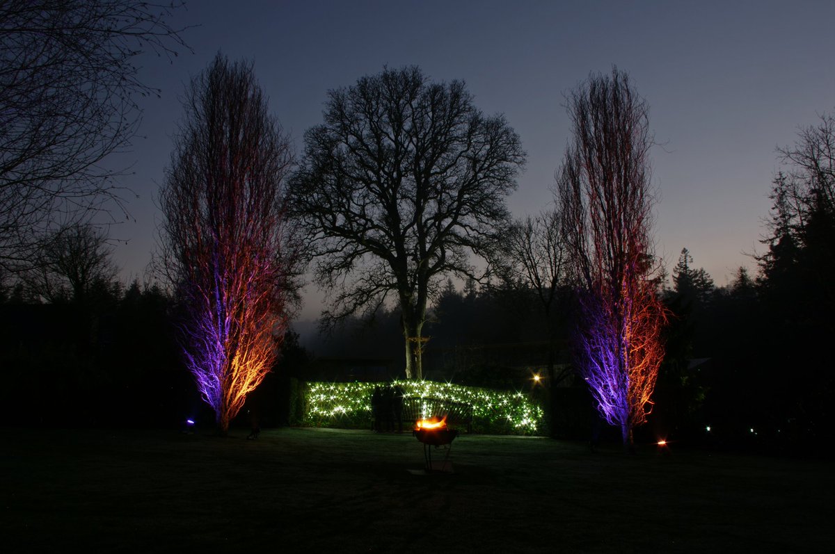 60rl's tweet image. Everythings glowing @RHS_Rosemoor