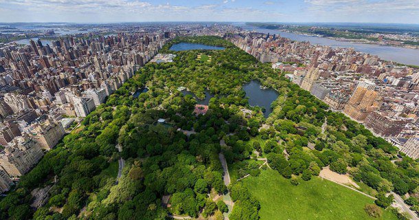 murrrrm's tweet image. я бы хотел попасть в центральный парк Нью-Йорка. 
Это же прекрасно.