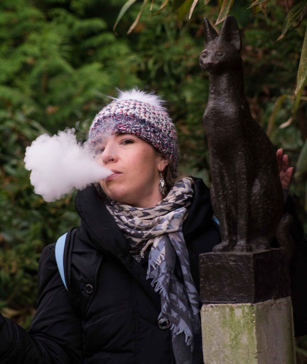 Vape kitty meets statue kitty! #amsterdamzoo #vapeon #vapekitty #clouds #VK
