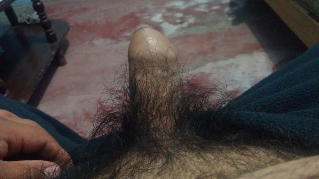 Mi admirador ! Mi admirador !