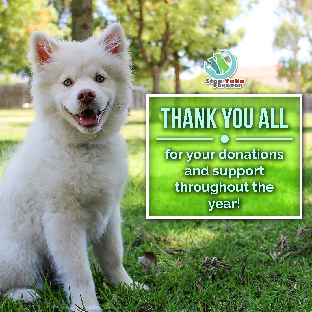 stopyulinforevr's tweet photo. Thank you for your generous donations all year round. We are forever grateful for your continued support throughout the year. #AllyForChange https://t.co/fCFDmkZ6a1