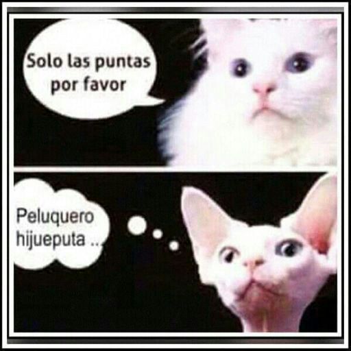 io :'v RT y FAV por mi