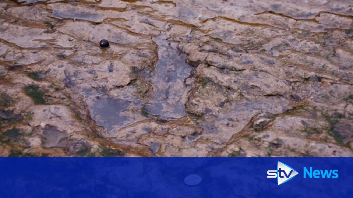 Dinosaur footprints on skye beach damaged by man in 