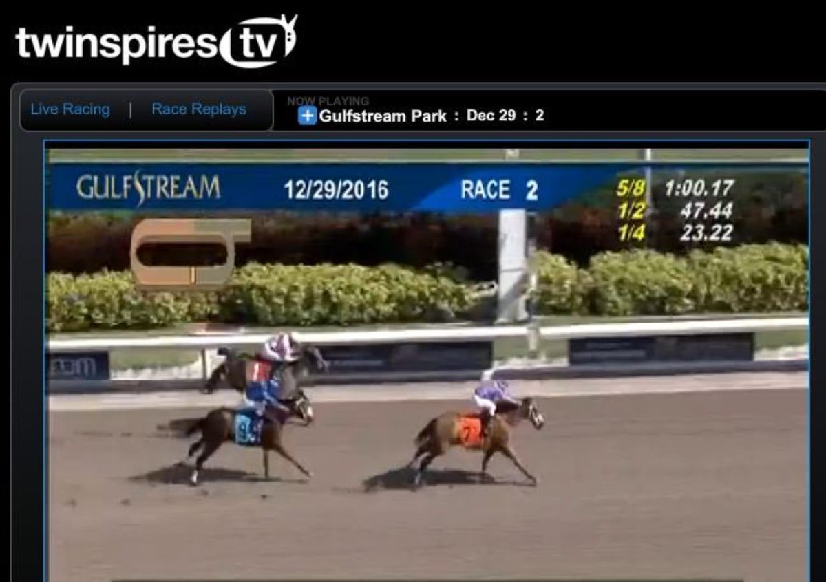 darrenrovell's tweet photo. A horse named Harambe just won her first start in a race at @GulfstreamPark (H/T @TwinSpires) https://t.co/GcaCsUmMTB