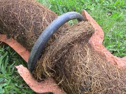 7RicoPlumbing's tweet photo. Constant clog due to Tree Root Intrusion?..#sewerpipe #Treerootintrusion
https://t.co/n5OuyKLbny https://t.co/TdnXP6xDXL