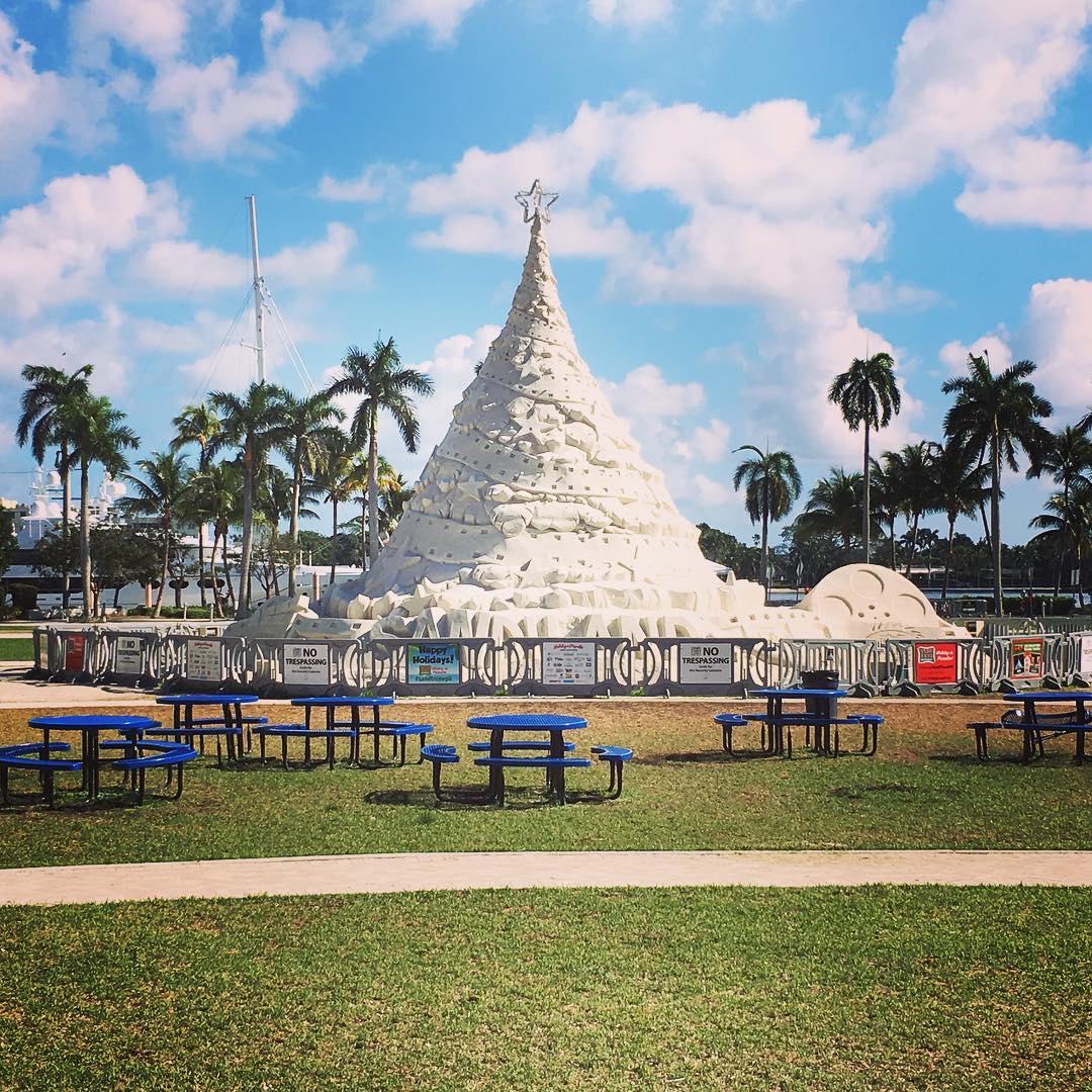 SandiTreeWPB's tweet photo. Why be the sand when you can be a #sandtree?
πΈ: codycoleb
#sanditreewpb #ilovewpb #sandiland #thursdaythoughts https://t.co/in6lkELzu2