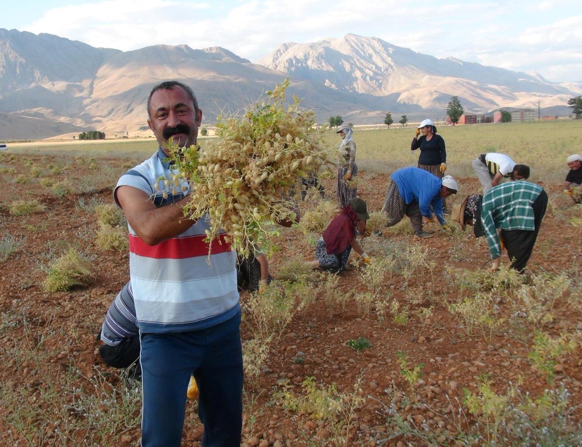ApeNemir's tweet photo. KİMİ SARAYLARDA YAN GELİR YATAR
KİMİ TARLADA NOHUT TOPLAR  

BizeAsgari SARAYAazami
@komunistbaskann https://t.co/jXxAPc91Ew