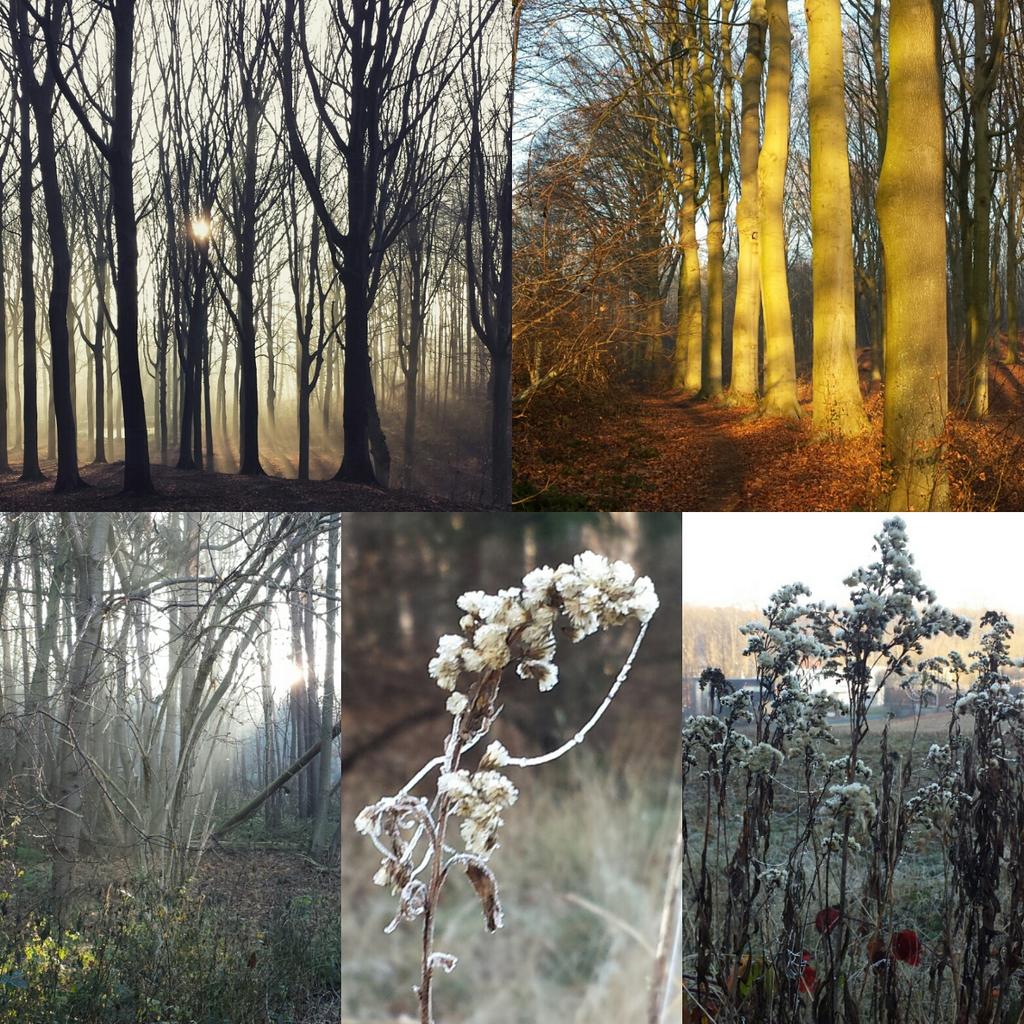 Ann Martin tweet media