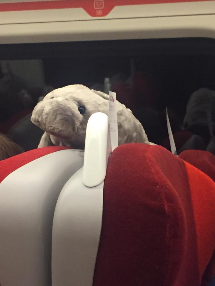 LNER's tweet photo. Found on an Edinburgh to Kings Cross service: 1 sad seal, goes by the name of Celia. Please send help, and fish! #TeddyTracker #BREAM https://t.co/61HnBDK4zt