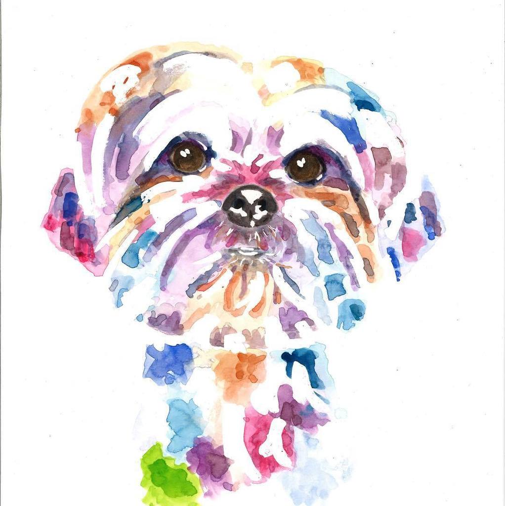 popoochportrait's tweet photo. Popooch of the day  #popoochportraits #dogs #dog #dogsofinsta #dogstagram #dogportrait #pe… https://t.co/R7e0zVDgCt https://t.co/6JD5qgSU2Q
