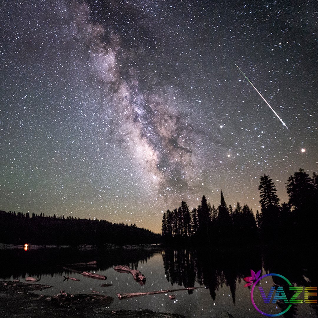 vazefloral's tweet photo. In the woods.
#spaceporn #milkyway https://t.co/YPXgFgxzpk