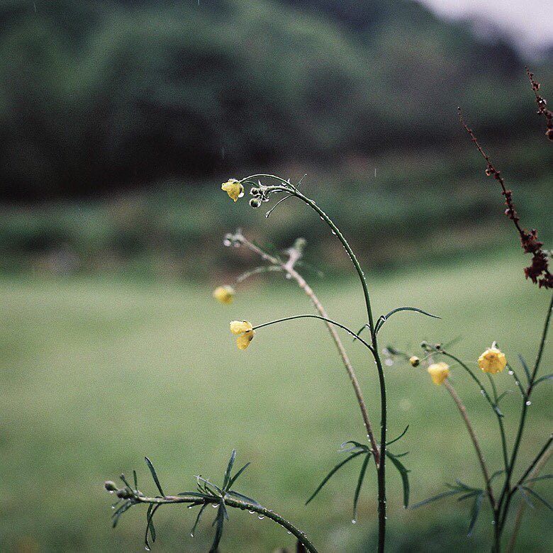 // Raindrop ( 6 / 9 ) ift.tt/2htvEmg