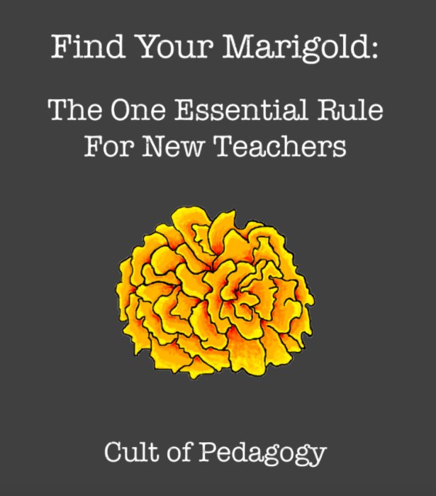 We Are Teachers tweet media