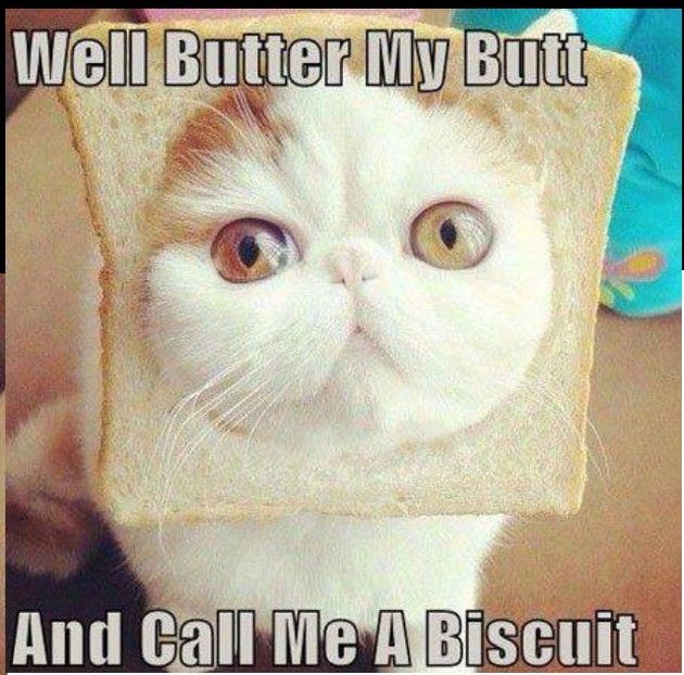 marshmallowAO's tweet photo. Hehehe, YAYY!! Soooooo CUTE! https://t.co/VbdJWKK7Eo