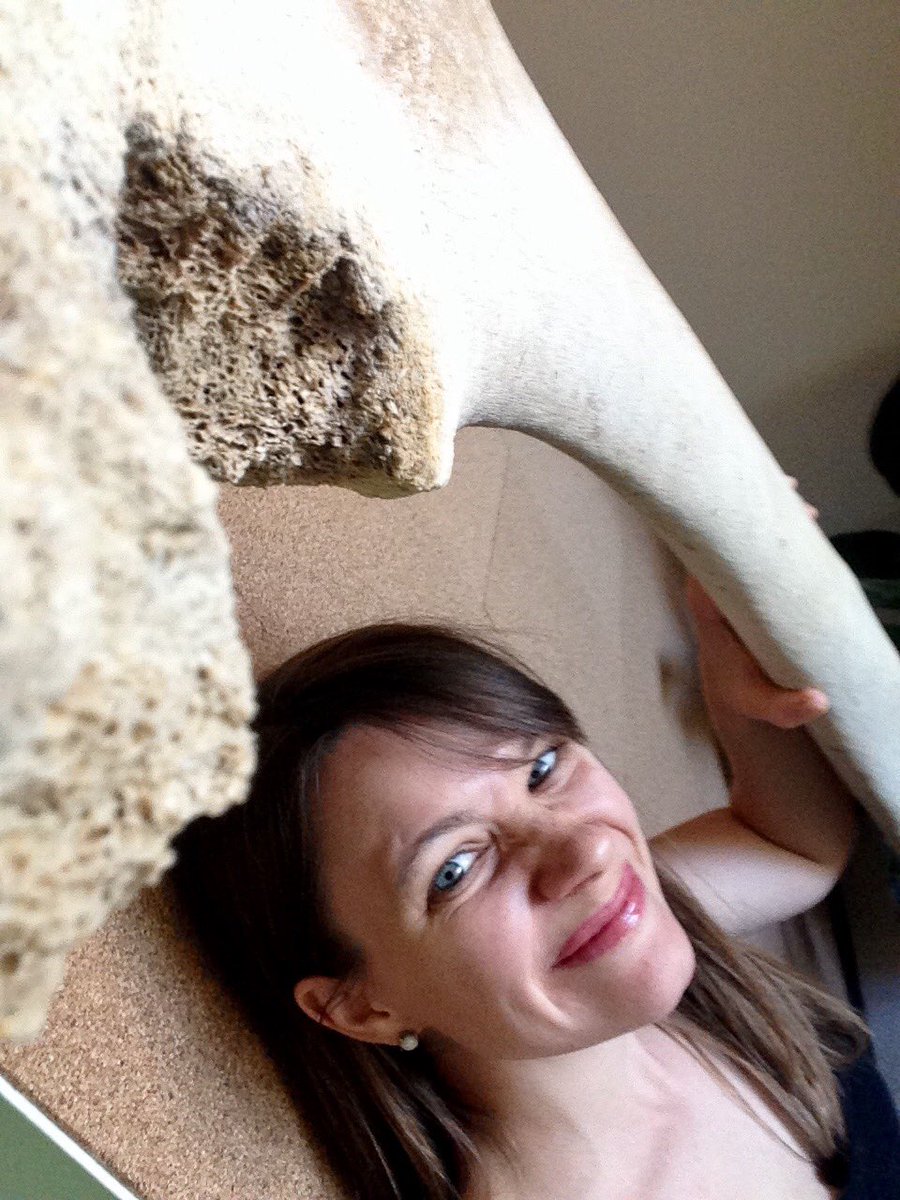 BiodiversityASU's tweet photo. The whale bone is here. And we are CHILLING. @ALouise26 @LeahLeopold @ASUgreen @ASUgreen https://t.co/BN7J5Zt6LG