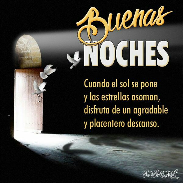 Marifibro's tweet photo. #LaHoraChachi358 #lahorachachiofi #lahoramagica993 #buenasnochesatodos #aSonar #NuncaDejesDeCreer #lamagiadelossuenos #noche https://t.co/uKWbUL9chK