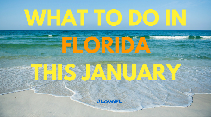 VISITFLORIDA's tweet photo. Heading to Florida in January? Read this first, https://t.co/VAvFhLy9vN #LoveFL https://t.co/FCupu23ito