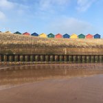 Photo by diana boyle (@rooftoptweet)