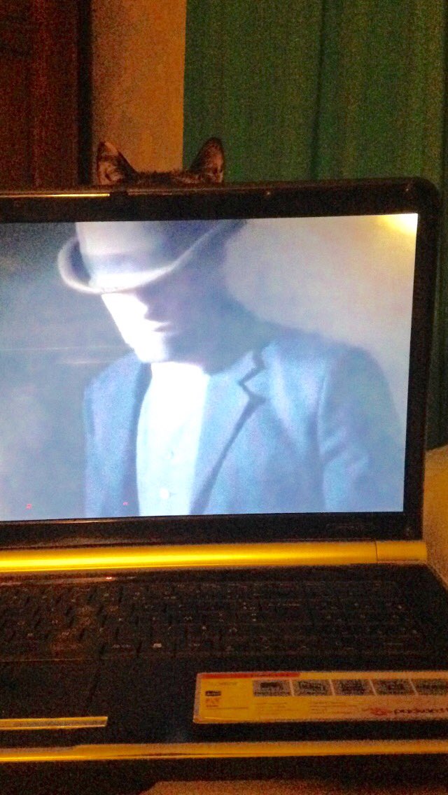 reustel's tweet image. Comment voulez vous que je me concentre sur ma série avec ça