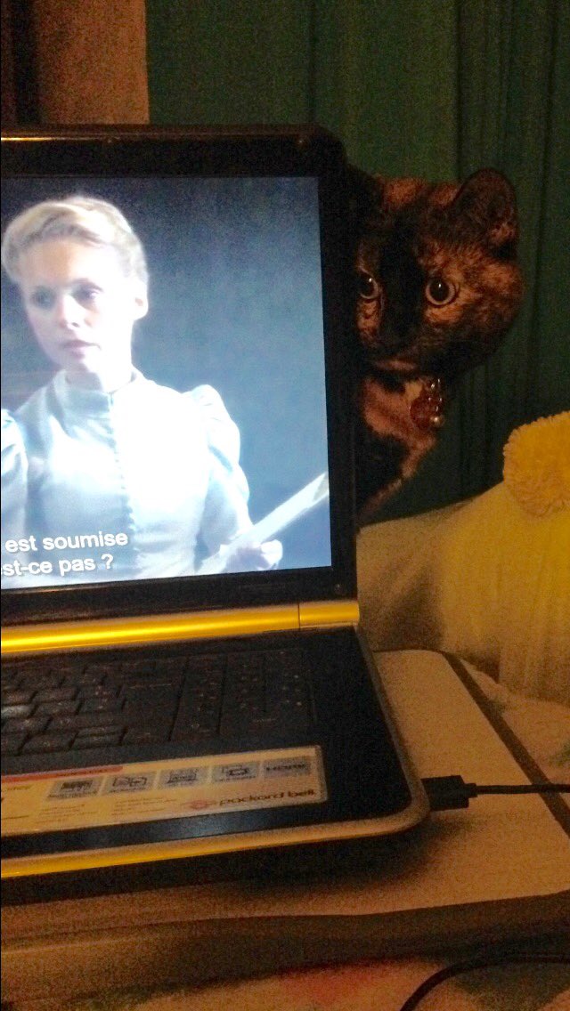 reustel's tweet image. Comment voulez vous que je me concentre sur ma série avec ça