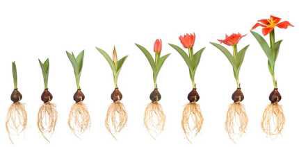 MsSsHussain's tweet image. 💐Dear Cyber Space Community; Please Read: The Souls Jihad! :) #stopgangs #TerrorGroups #HumanReform #LoveandPeace committedtolove.net/committed-to-l…