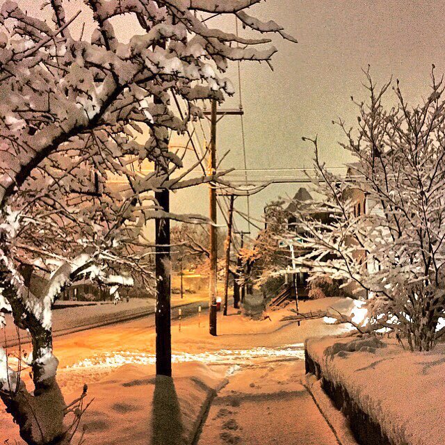 katiep18's tweet photo. Franklin Street looks good in white ☃️❄️🎄#concordnh #awalkinthesnow #simplylovely #itwasalwaysyou #SnowStorm2016 #WinterWonderland #NH https://t.co/KtewcVpz1y