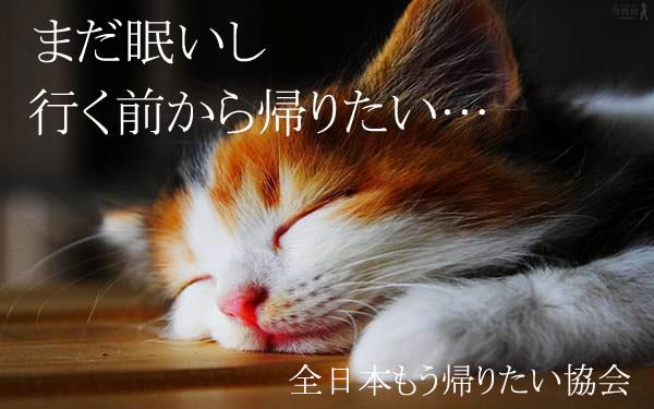全日本もう帰りたい協会 まだ眠いし T Co Flb2xkifyk Twitter