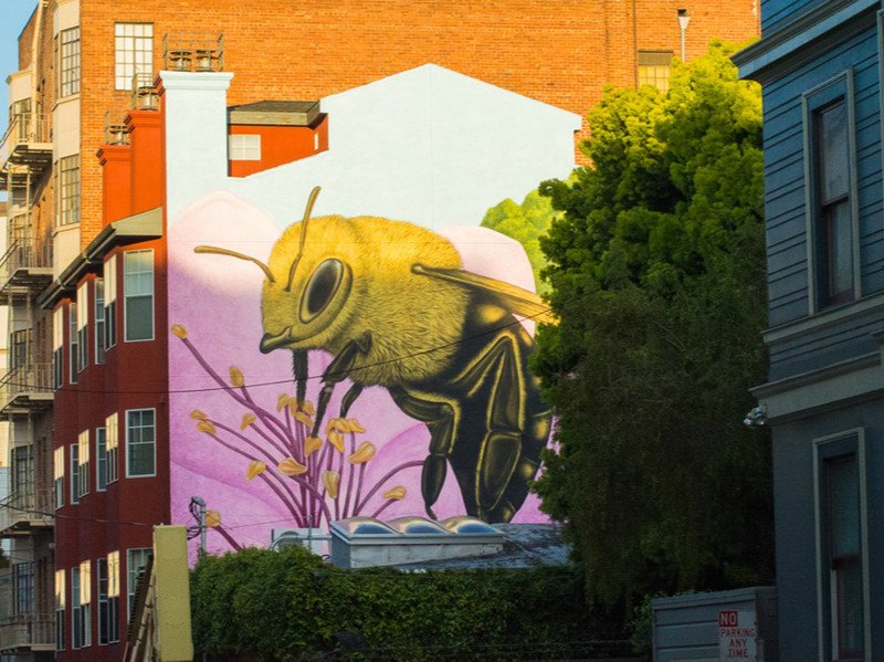 Hoodline's tweet photo. What's The Best Thing About Hayes Valley? https://t.co/LNe5ezboHi https://t.co/7mrQMNcWFc
