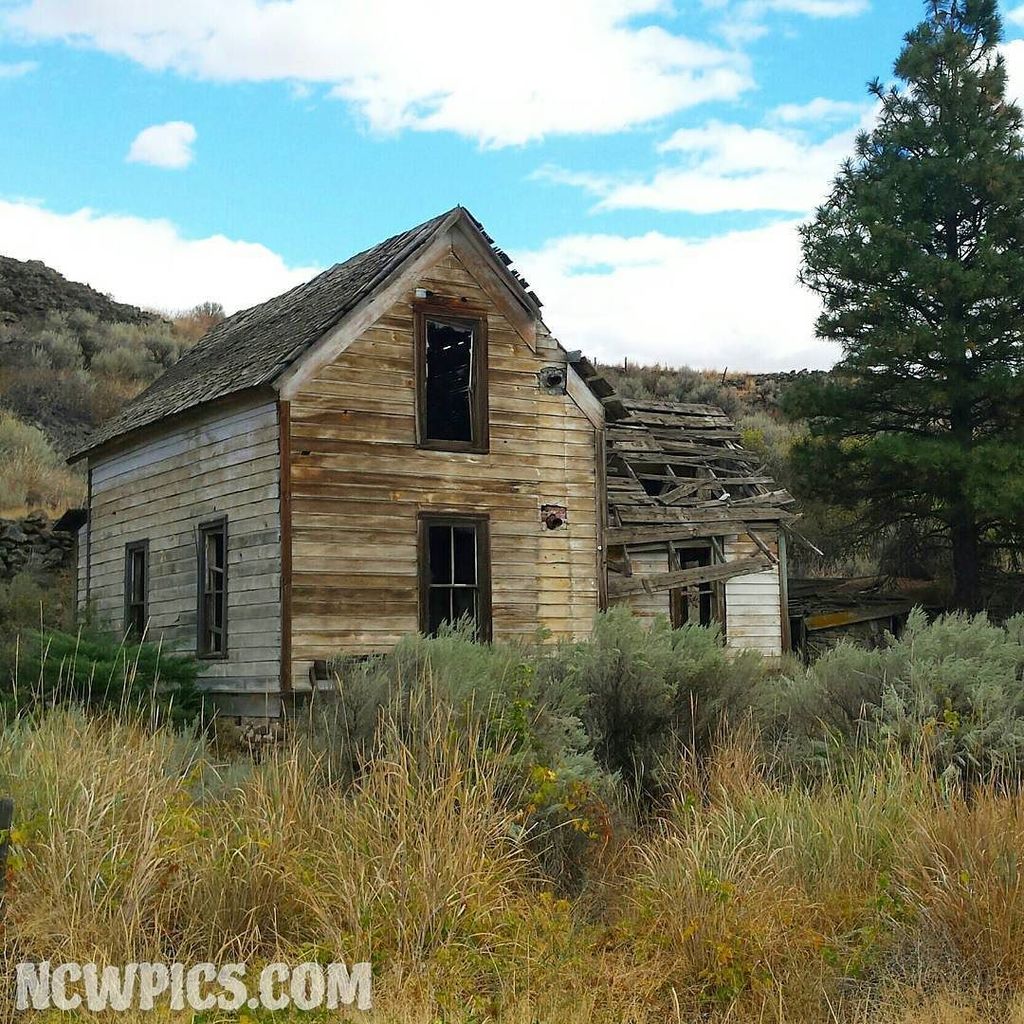 ncwpics's tweet photo. #Abandoned home outside of #Waterville, #Washington. #rural #Alstown #fixerupper #Watervil… https://t.co/jL7RmuX9Tq https://t.co/mtGXhqi4kx