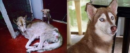 Last chance for 2016 match donations mo.nu/4cw4?uid=4Ctj Tell others "Donate $10 to @AmazonCARES because ..."