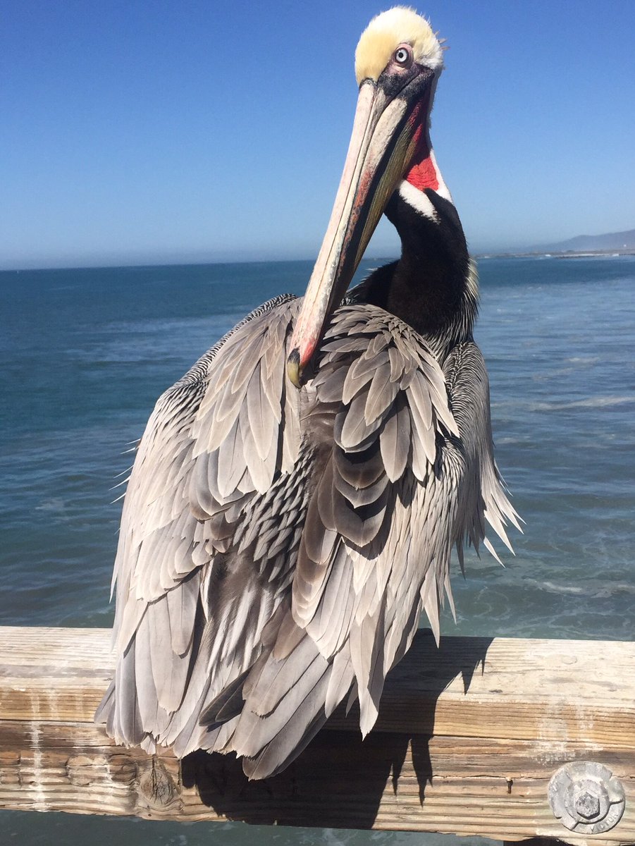 Kids don't see animals anymore, come by the bait shop in the morning we always have visitors