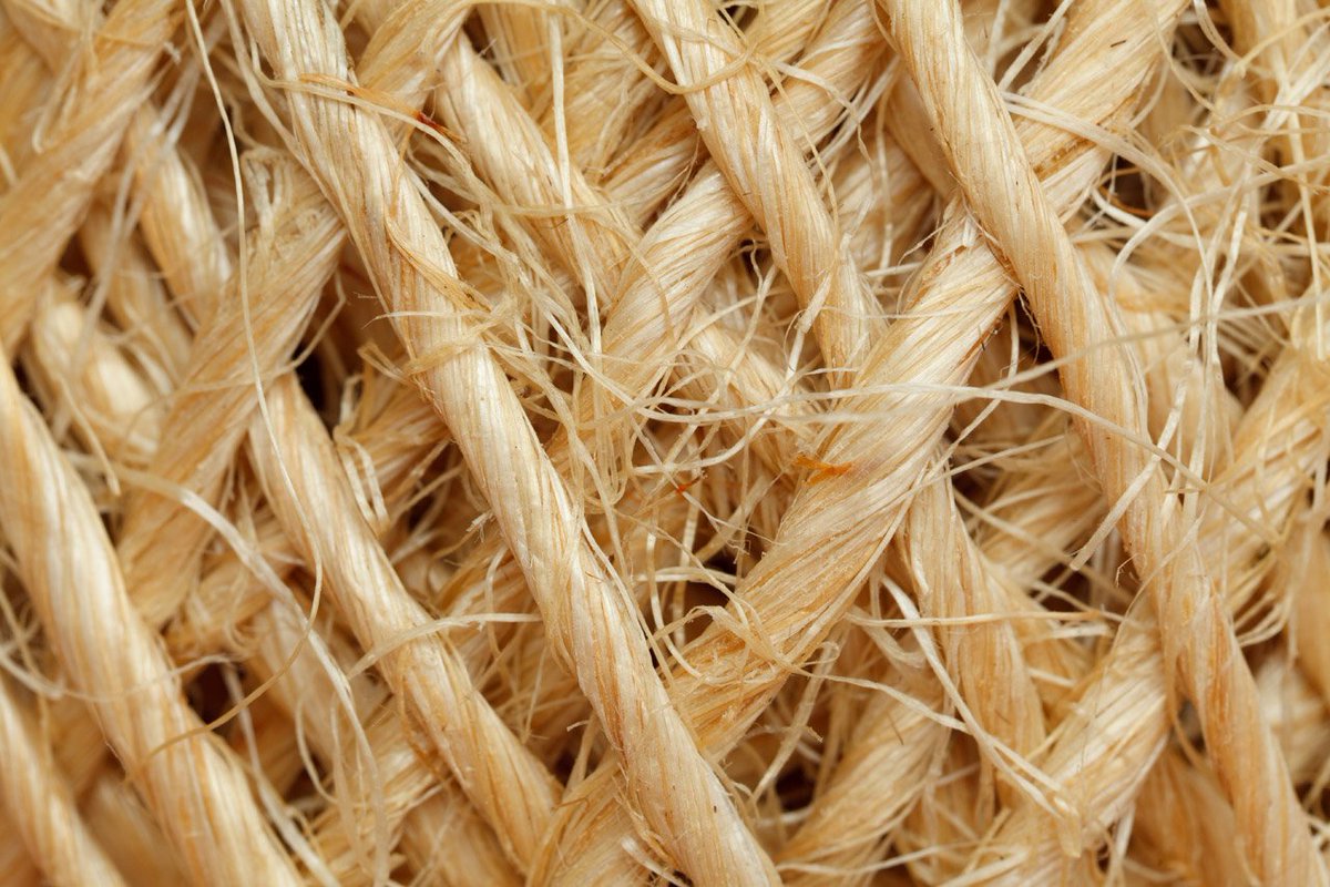 WildTussah's tweet image. Fact: Hemp fiber has approximately 8 times the tensile strength and 4 times the durability of cotton fiber wildtussah.com