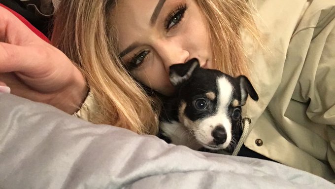 My dog is life 🐶 https://t.co/beZnJe0kxW<a href="/tag/brianjonesphotography"class="tags"><span>#brianjonesphotography</span></a>