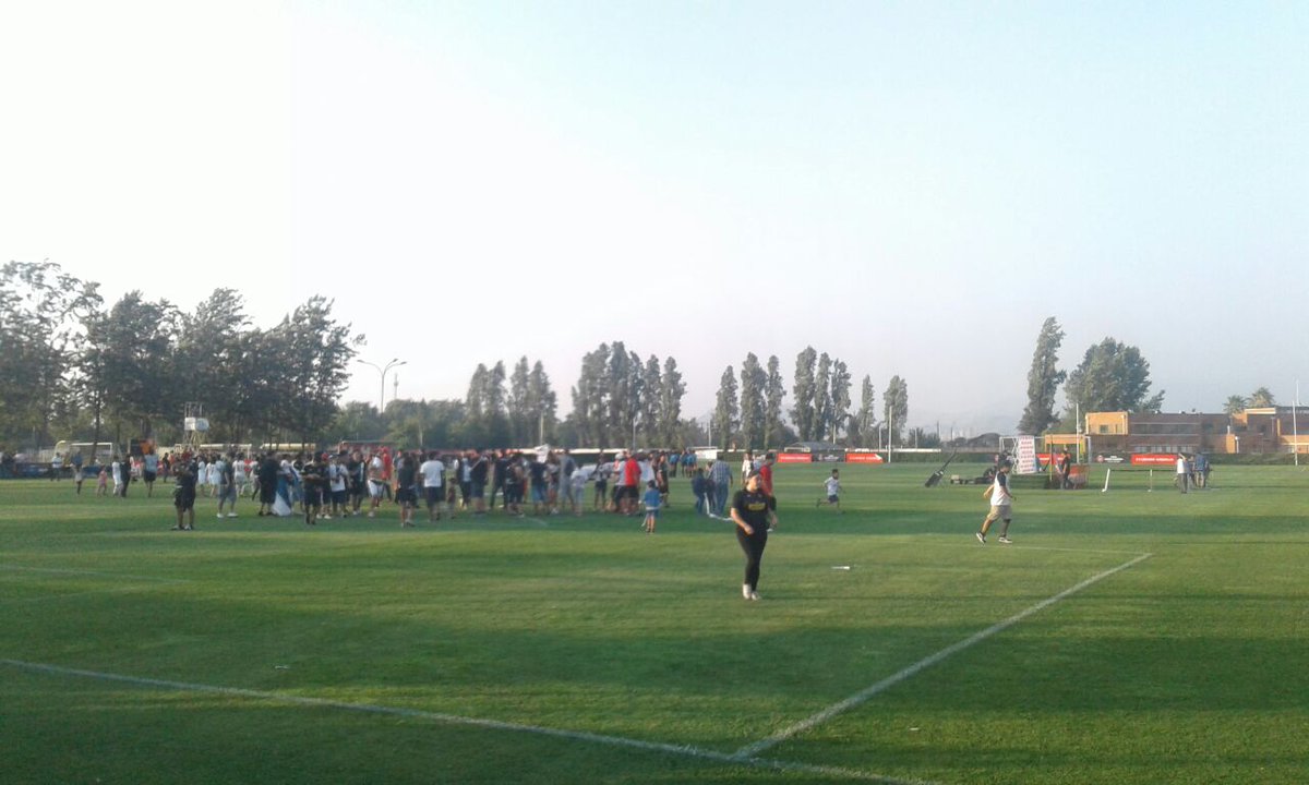 SFF_Chile tweet picture