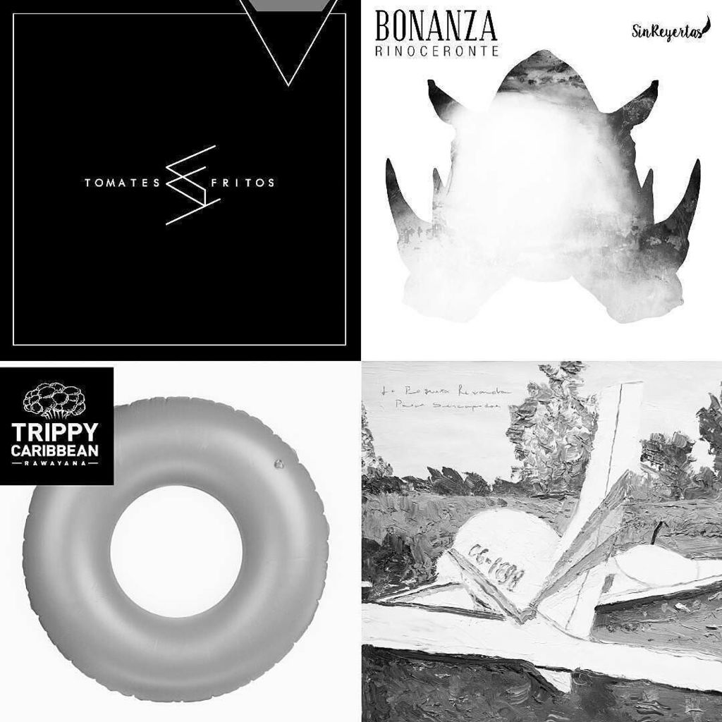 Este tipo de noticias te alegran el día, la semana , el mes y el año. Saber que RINOCERONT… instagram.com/p/BOnpTblhgTw/