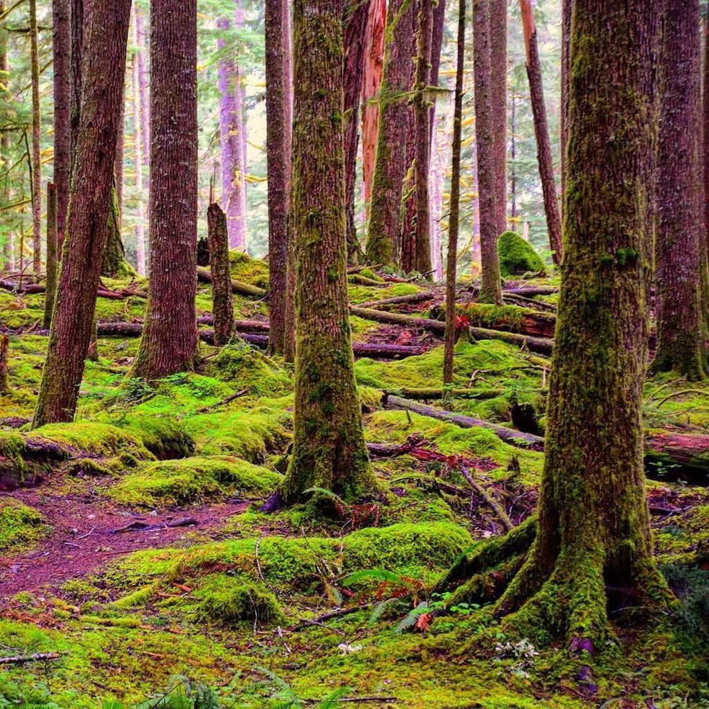 wakingupwild's tweet photo. Although nature may not always be in a hurry, it always gets everything accomplished https://t.co/M0Dpeftj4b