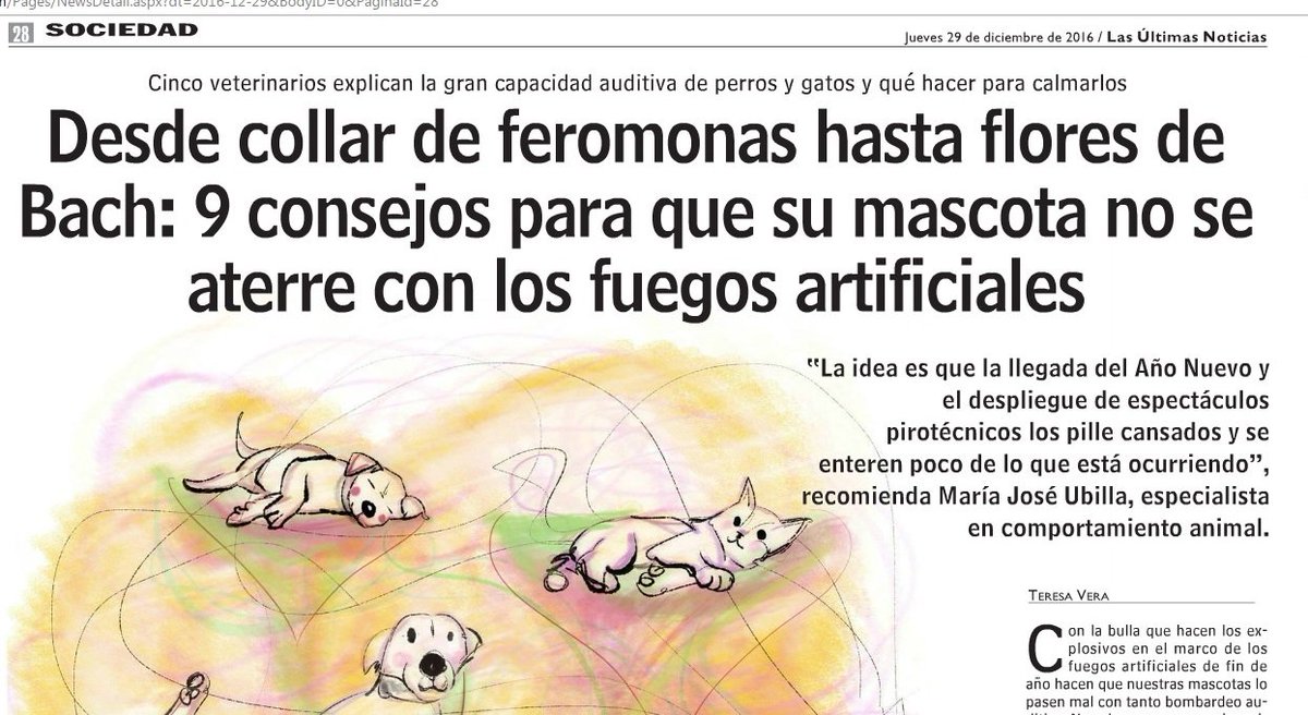 tiendamascos's tweet photo. Tips para cuidar a tu mascota este Año Nuevo  En https://t.co/G3VdOEDVvL encontrarás los productos q aparecen @lun https://t.co/kjuEI46DwV https://t.co/NAZqRq8xqx