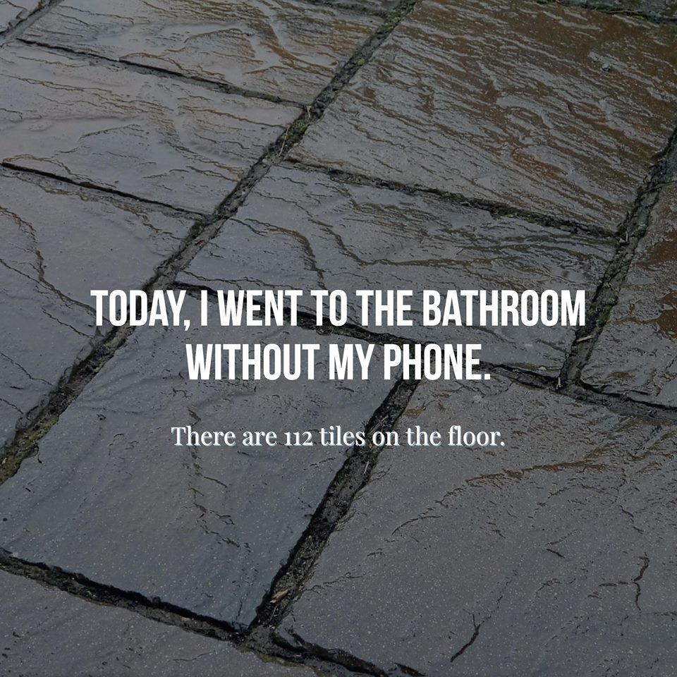 BathroomNinjas's tweet photo. How did we survive without our phones?!?! #BathroomNinja #Counting https://t.co/gWCmbsYTJx